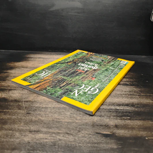 National Geographic ฉบับที่ 99 ต.ค. 2552 เรดวูด รูปที่ 5