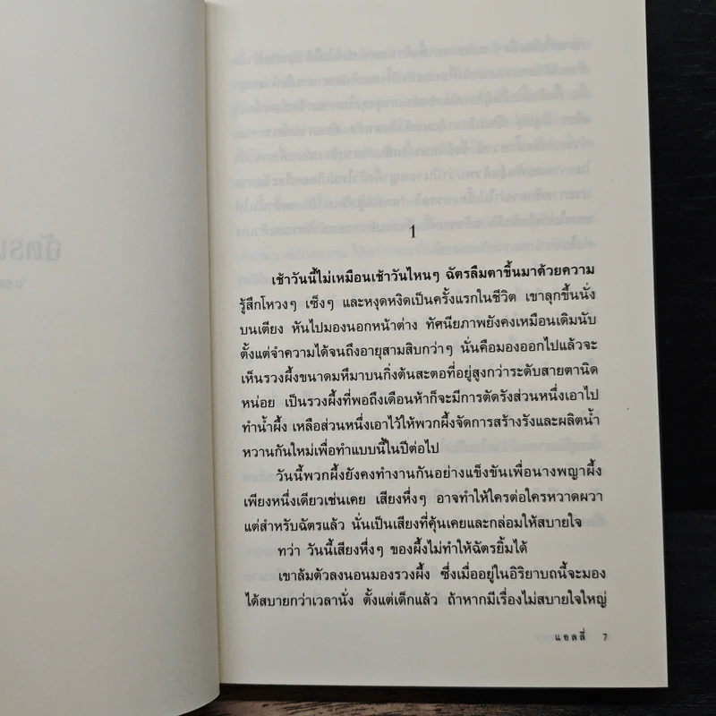 ฉัตรเพชร - แอลลี่ รูปที่ 7