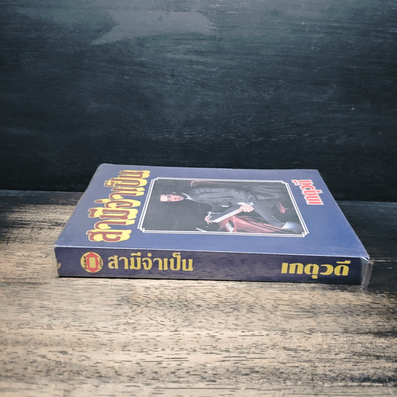 สามีจําเป็น - เกตุวดี รูปที่ 3