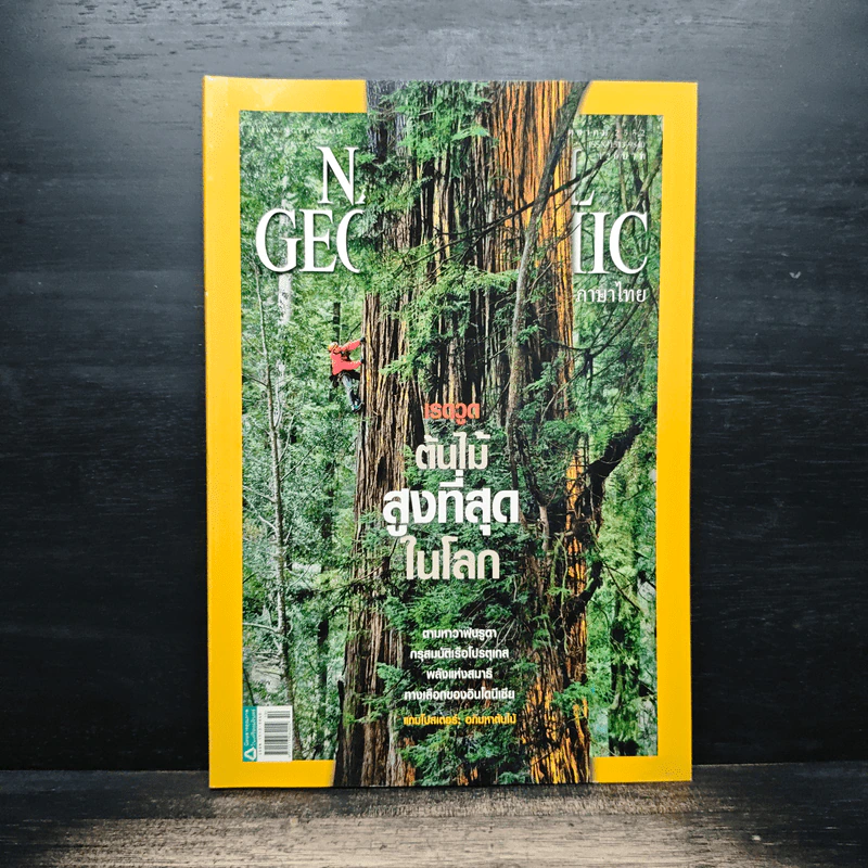 National Geographic ฉบับที่ 99 ต.ค. 2552 เรดวูด รูปที่ 1