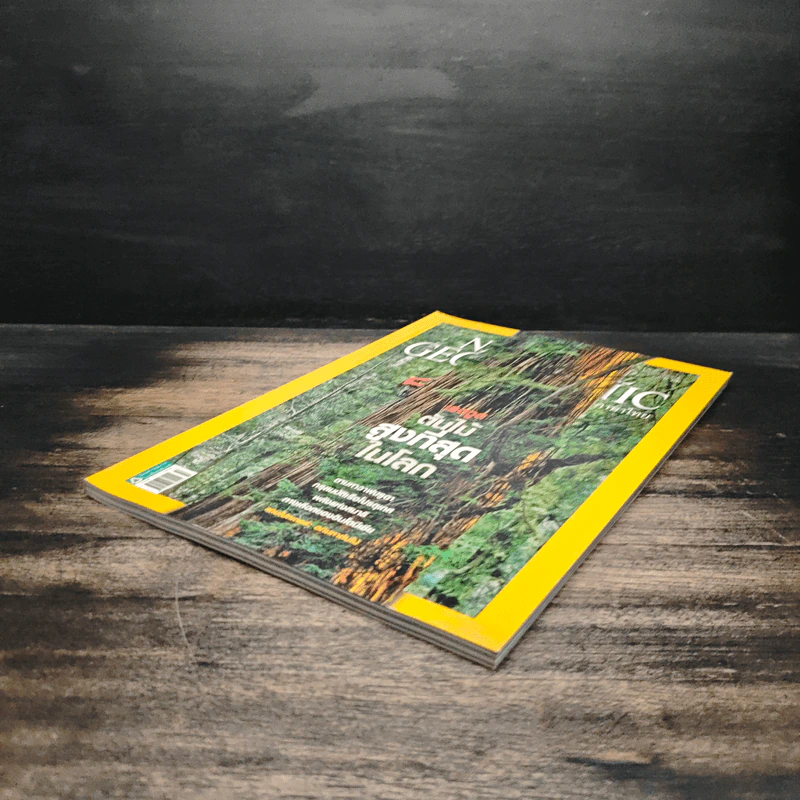 National Geographic ฉบับที่ 99 ต.ค. 2552 เรดวูด รูปที่ 4