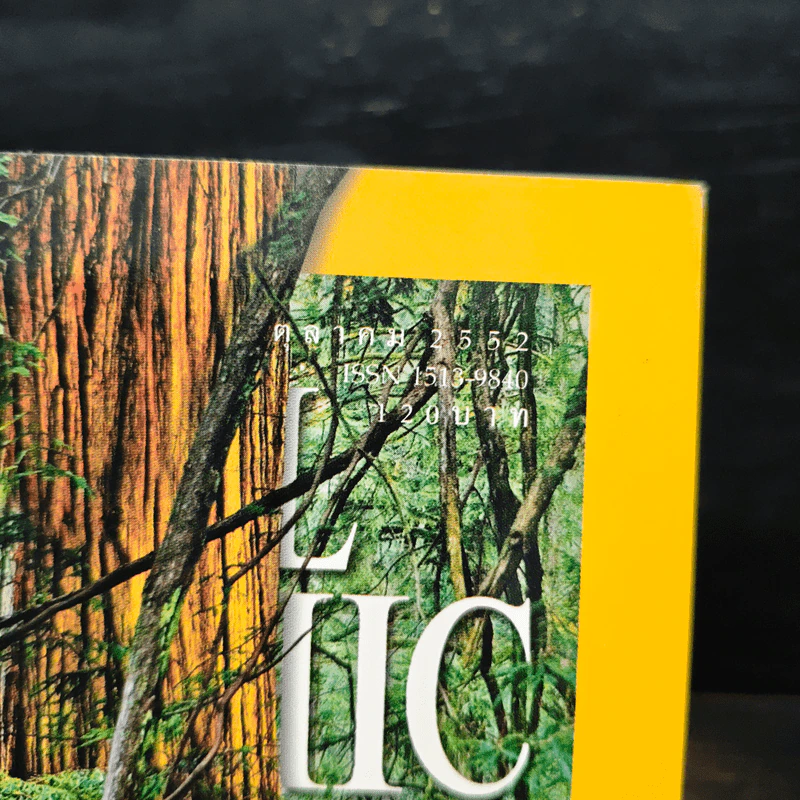 National Geographic ฉบับที่ 99 ต.ค. 2552 เรดวูด รูปที่ 6