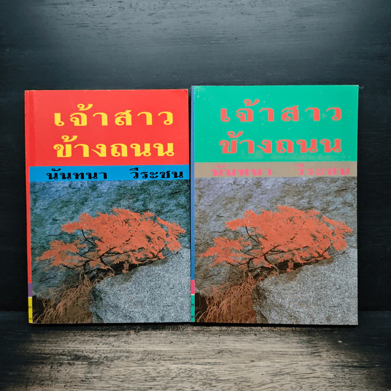 เจ้าสาวข้างถนน 2 เล่มจบ - นันทนา วีระชน รูปที่ 1