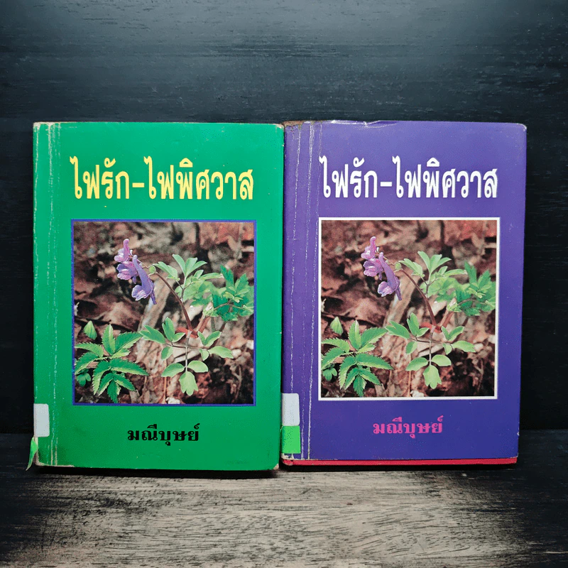 ไฟรัก-ไฟพิศวาส 2 เล่มจบ - มณีบุษย์ รูปที่ 1