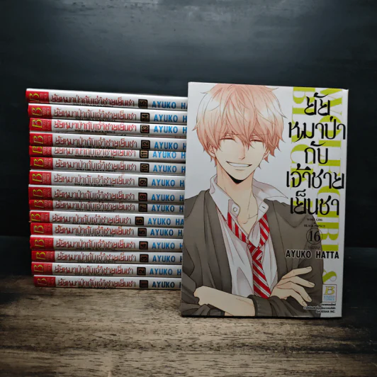 ยัยหมาป่ากับเจ้าชายเย็นชา 16 เล่มจบ - Ayuko Hatta รูปที่ 1