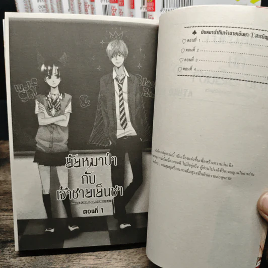 ยัยหมาป่ากับเจ้าชายเย็นชา 16 เล่มจบ - Ayuko Hatta รูปที่ 6