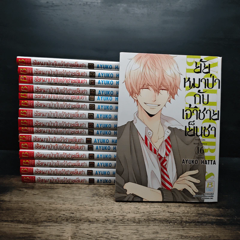 ยัยหมาป่ากับเจ้าชายเย็นชา 16 เล่มจบ - Ayuko Hatta รูปที่ 1