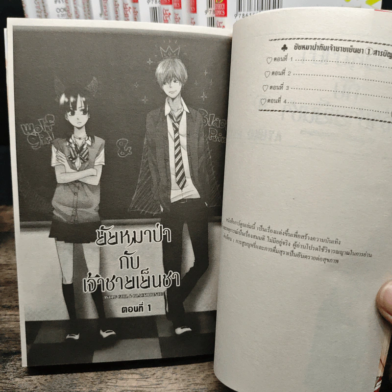 ยัยหมาป่ากับเจ้าชายเย็นชา 16 เล่มจบ - Ayuko Hatta รูปที่ 6