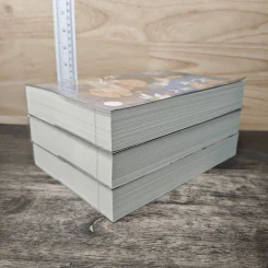 Box Set หญิงงามอันดับหนึ่งแห่งฉางอัน 3 เล่มจบ - ฟาต๋าเตอะเล่ยเซี่ยน รูปที่ 6