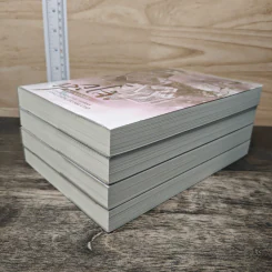 Box Set หวู่โจ้...โฉมงามอัจฉริยะ 4 เล่มจบ - QingXianYaTou รูปที่ 6
