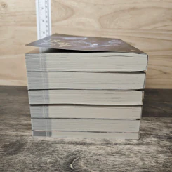 Boxset นิยายวาย ปรมาจารย์ลัทธิมาร 5 เล่มจบ + ตอนพิเศษ - โม่เซียงถงซีว รูปที่ 7