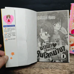 นางฟ้าเสียงใสในโลกมายา 2 เล่มจบ รูปที่ 6