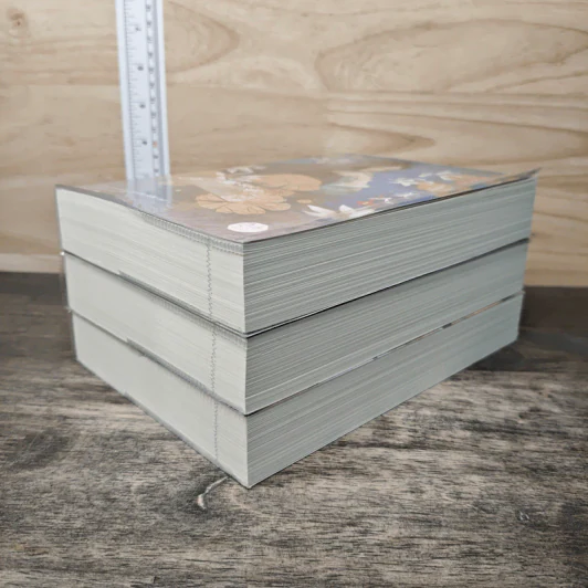 Box Set หญิงงามอันดับหนึ่งแห่งฉางอัน 3 เล่มจบ - ฟาต๋าเตอะเล่ยเซี่ยน รูปที่ 6