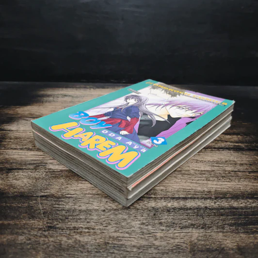 Boy Harem 3 เล่มจบ - Oda Aya รูปที่ 4