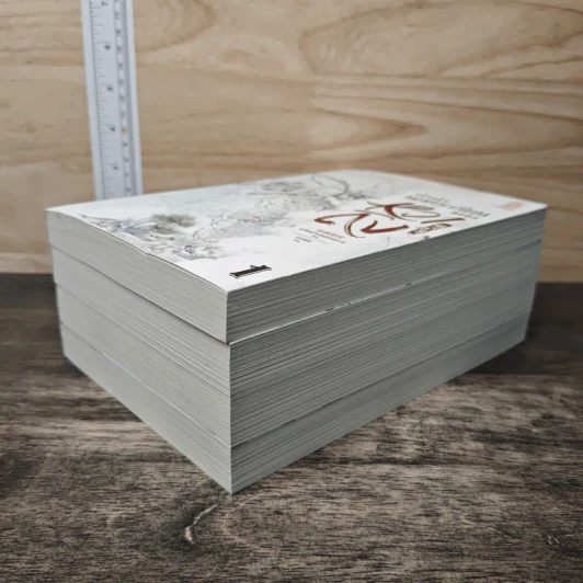 Boxset ลำนำนกกระเรียนแห่งหวาถิง 4 เล่มจบ - เสวียหม่านเหลียงหยวน รูปที่ 6
