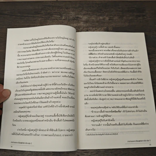 Boxset ลำนำนกกระเรียนแห่งหวาถิง 4 เล่มจบ - เสวียหม่านเหลียงหยวน รูปที่ 11