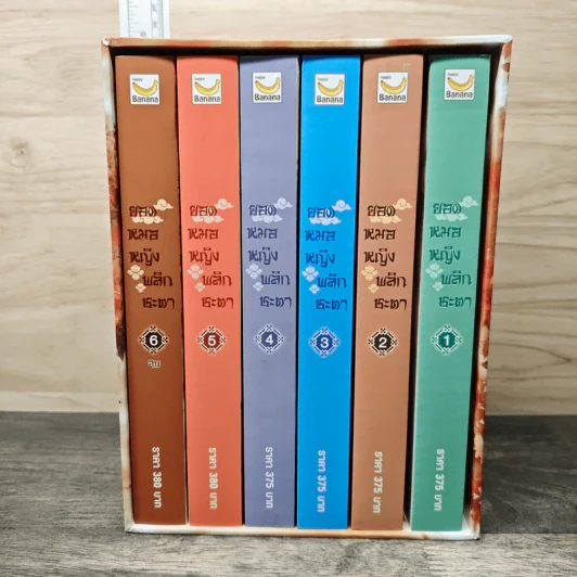 Boxset ยอดหมอหญิงพลิกชะตา 6 เล่มจบ - Yi Qian Chong, เหมยสี่ฤดู รูปที่ 1