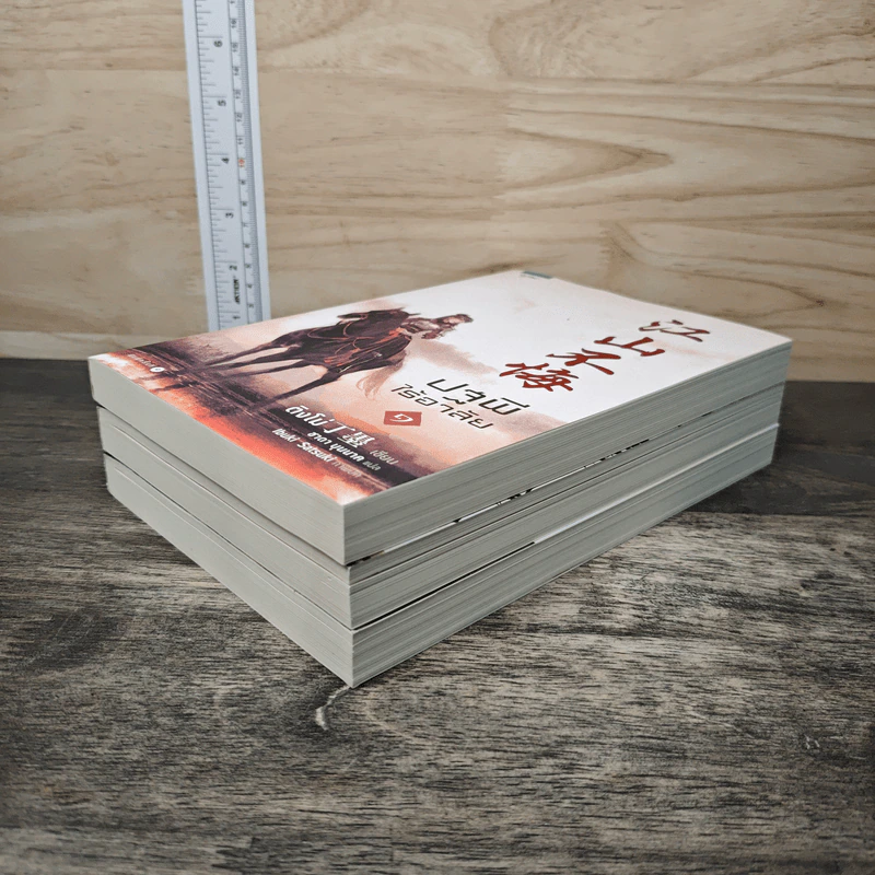 Boxset ปฐพีไร้อาลัย 3 เล่มจบ - ติงโม่ (Ding Mo) รูปที่ 6