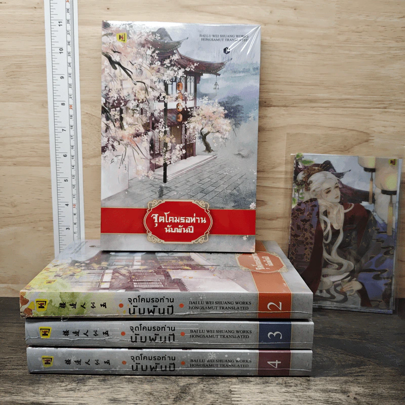 Boxset จุดโคมรอท่านนับพันปี 4 เล่มจบ - bai lu wei shuang รูปที่ 2