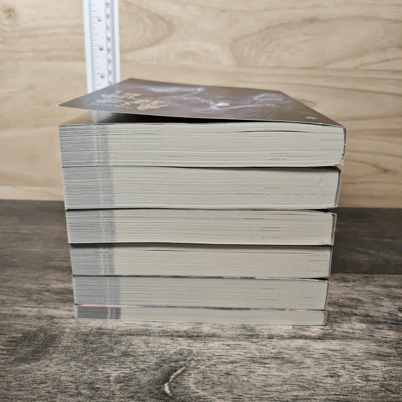Boxset นิยายวาย ปรมาจารย์ลัทธิมาร 5 เล่มจบ + ตอนพิเศษ - โม่เซียงถงซีว รูปที่ 7