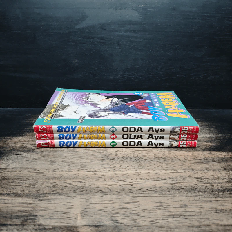 Boy Harem 3 เล่มจบ - Oda Aya รูปที่ 3