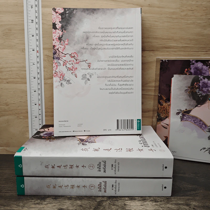 Boxset ข้าก็เป็นสตรีเช่นนี้ 3 เล่มจบ - เย่ว์เซี่ยเตี๋ยอิ่ง (Yue Xia Die Ying), Hanza รูปที่ 4