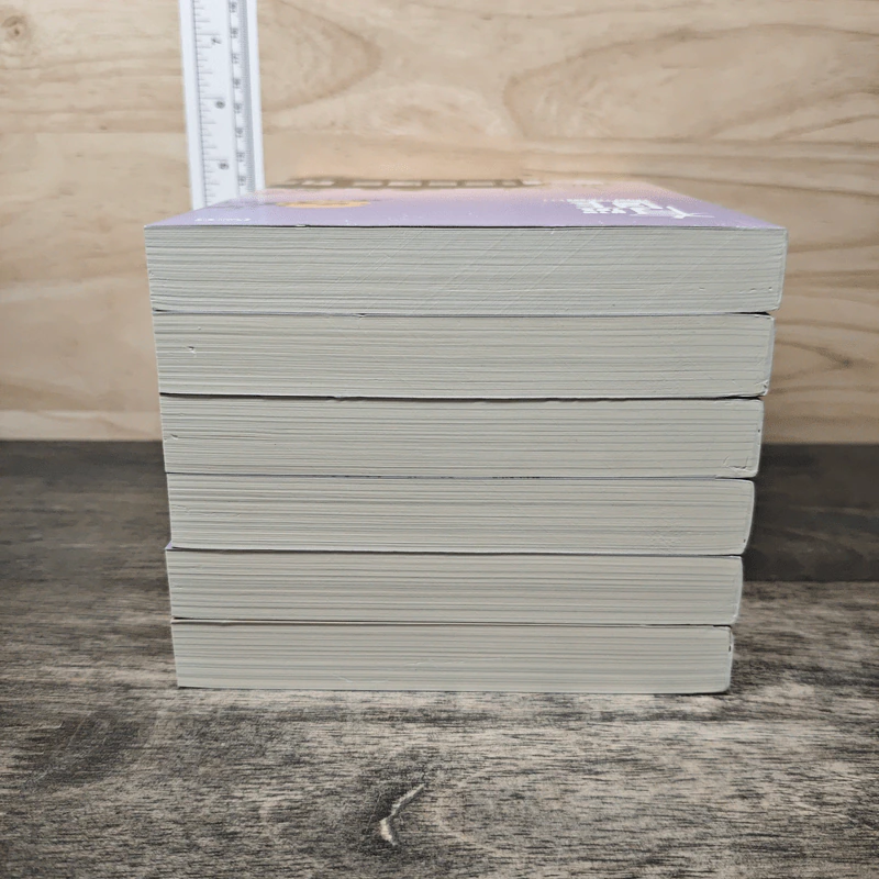 Boxset นางโจร 6 เล่มจบ - Priest รูปที่ 7