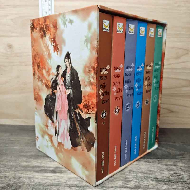 Boxset ยอดหมอหญิงพลิกชะตา 6 เล่มจบ - Yi Qian Chong, เหมยสี่ฤดู รูปที่ 2