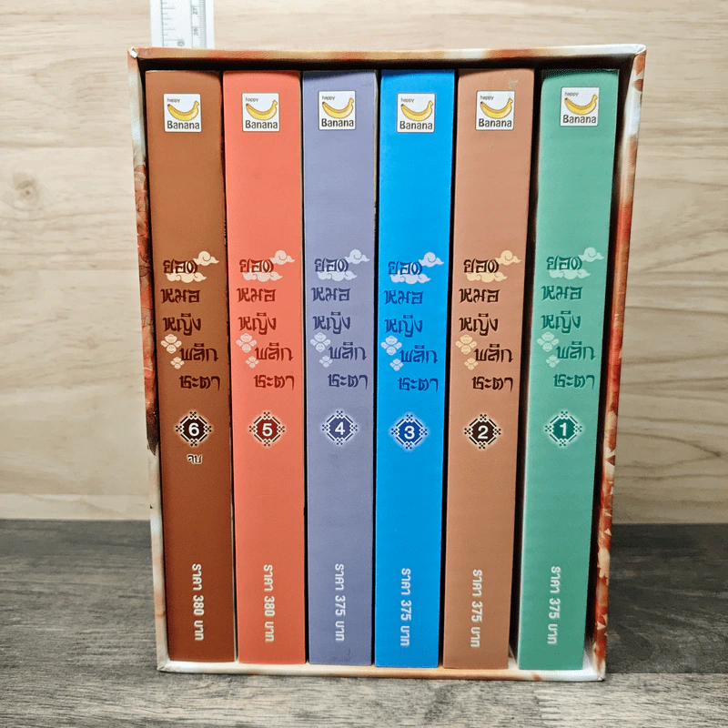 Boxset ยอดหมอหญิงพลิกชะตา 6 เล่มจบ - Yi Qian Chong, เหมยสี่ฤดู รูปที่ 1