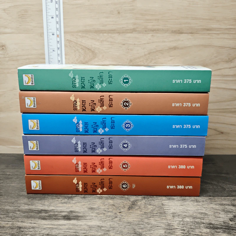 Boxset ยอดหมอหญิงพลิกชะตา 6 เล่มจบ - Yi Qian Chong, เหมยสี่ฤดู รูปที่ 3