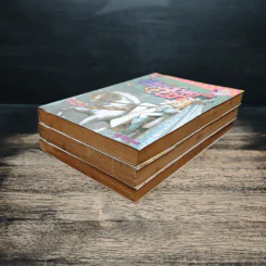 Pandora Panic แพนโดราพานิค 3 เล่มจบ รูปที่ 3
