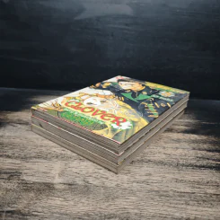 Clover เล่ม 1-3 - Clamp รูปที่ 4