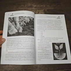 ต้นไม้โตไว ให้น้ำถูกต้อง - พจน์ อินทรนนท์ รูปที่ 8