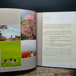 ถ่ายภาพให้มีพลัง The Power of Image - รศ.ดร.นคเรศ รังควัต รูปที่ 9