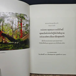 หน่อพระพุทธมหาเจดีย์โพธิ์ พุทธบัลลังก์ตรัสรู้สัมโพธิญาณ แห่งองค์พระสัมมาสัมพุทธเจ้า รูปที่ 6