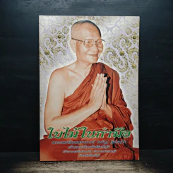 ใบไม้ในกำมือ - พระธรรมสิงหบุราจารย์ (จรัญ ฐิตธมฺโม) รูปที่ 1