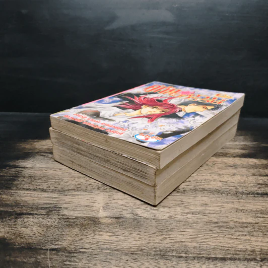 คู่กัดข้ามศตวรรษ เล่ม 1-3 รูปที่ 3
