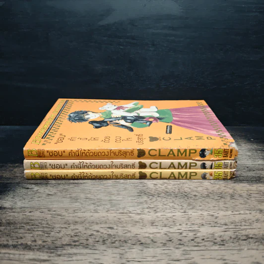 ชอบคำนี้ให้ด้วยดวงใจบริสุทธิ์ 3 เล่มจบ - CLAMP รูปที่ 3
