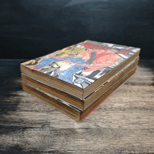ชิกุมะ ฝ่ามหันตภัยร้ายกู้วิกฤติ Skyscraper เล่ม 1-3 - Kazuya Kudo รูปที่ 4