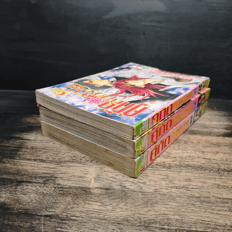 คู่กัดข้ามศตวรรษ เล่ม 1-3 รูปที่ 4