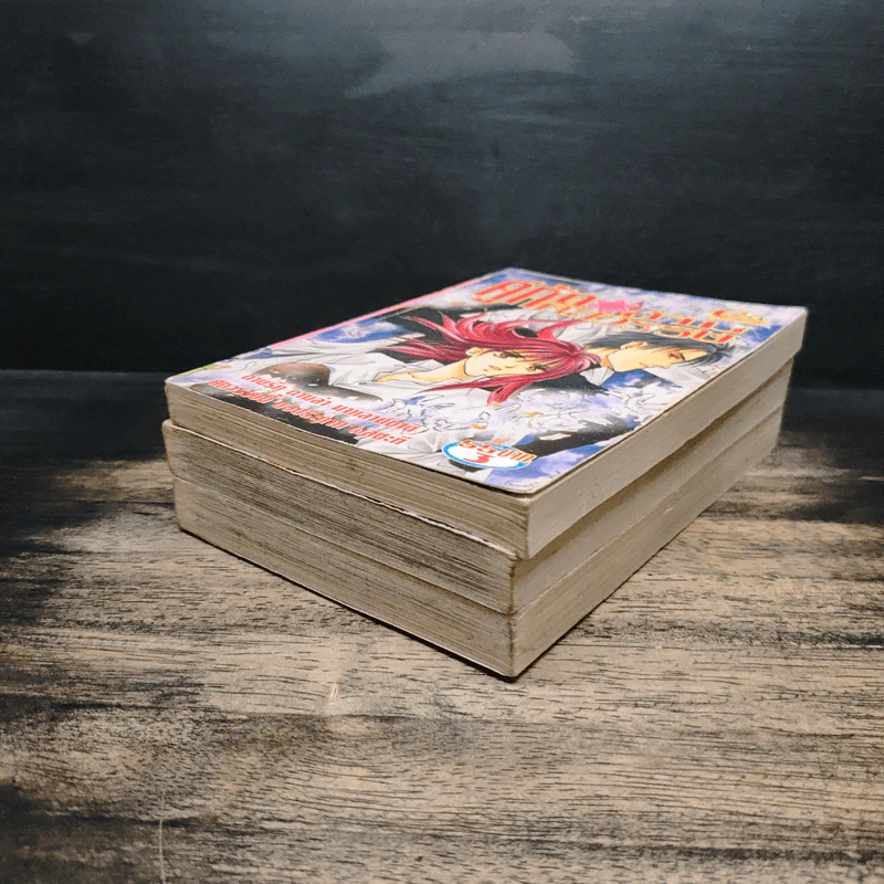 คู่กัดข้ามศตวรรษ เล่ม 1-3 รูปที่ 3