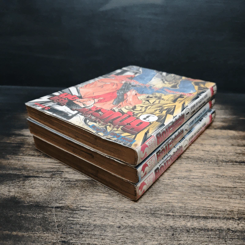 ชิกุมะ ฝ่ามหันตภัยร้ายกู้วิกฤติ Skyscraper เล่ม 1-3 - Kazuya Kudo รูปที่ 5