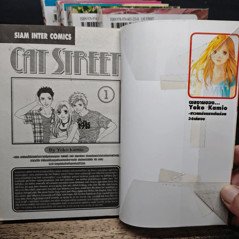CAT STREET เล่ม 1-7 รูปที่ 5