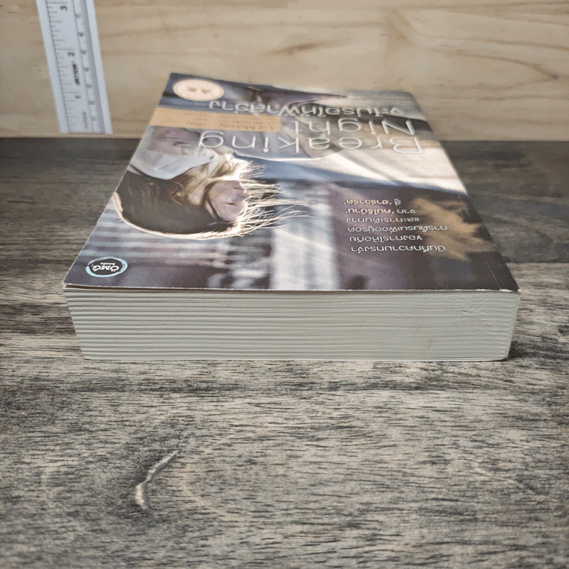 Breaking Night จะไม่รอให้ฟ้าสว่าง - Liz Murray รูปที่ 4