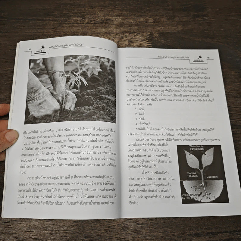ต้นไม้โตไว ให้น้ำถูกต้อง - พจน์ อินทรนนท์ รูปที่ 8