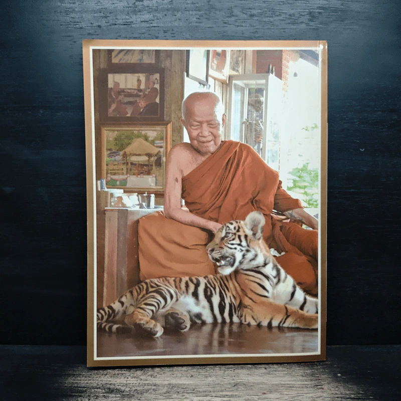 หนึ่งทศวรรษ ทองคำช่วยชาติ รูปที่ 2