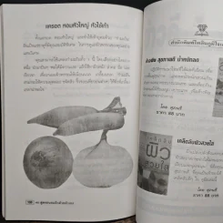 40 สูตรถนอมผิวด้วยตัวเอง - อังค์วรา รูปที่ 10