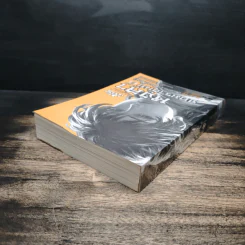 หงสาจอมราชันย์ ภาคพิเศษ เล่ม 5 เสี่ยวม่าน(เตียวเสี้ยน) - หวังอี๋ซิง รูปที่ 5
