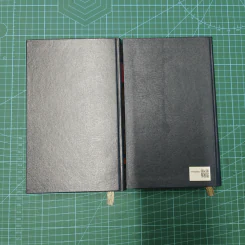A Dream of Red Mansions: Volume I + II รูปที่ 6