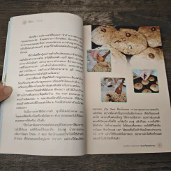 อืมม์...อร่อย จานเด็ด เคล็ด (ไม่ลับ) กับคนดัง - หมูหวานชวนชิม รูปที่ 9